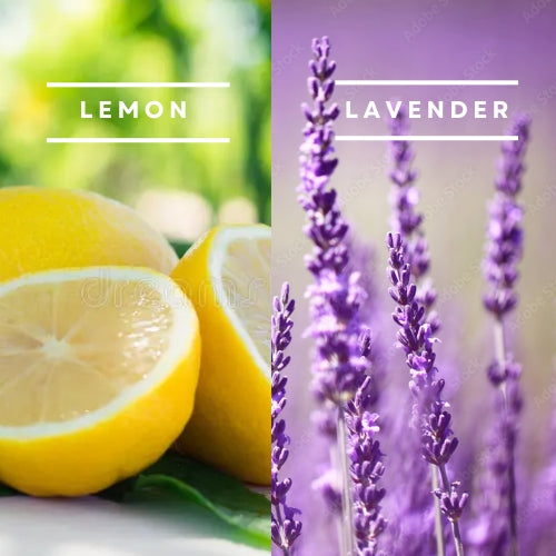 Lemon & Lavender - Waxmelt Bar