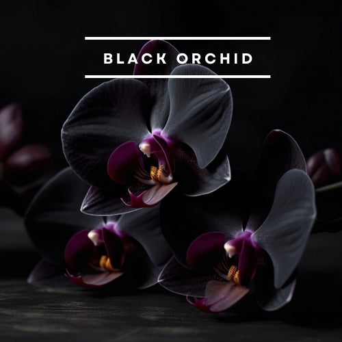 Black Orchid - Inpsired Wax Melt Bar