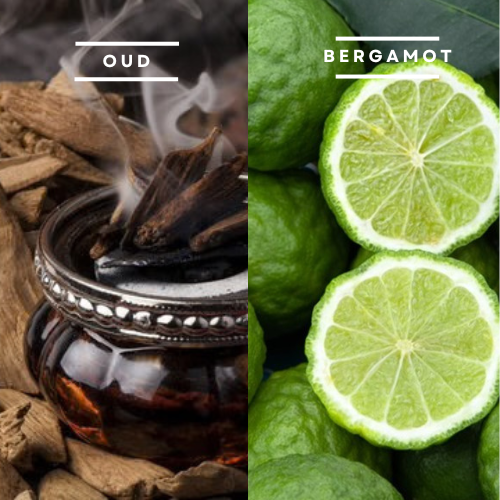Oud & Begamot - Inspired Wax Melt Bar